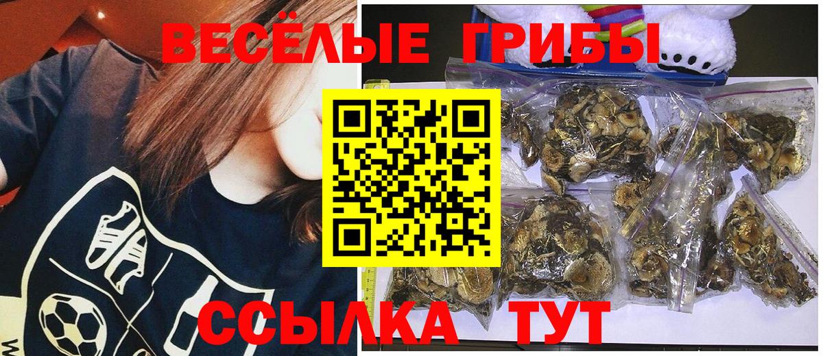 Каннабис Элиста