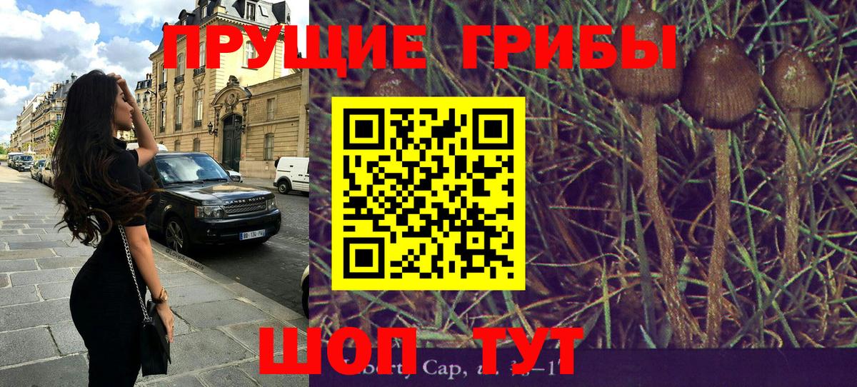 Галлюциногенные грибы ЛСД Элиста