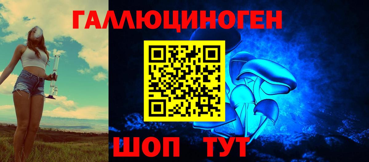 Псилоцибиновые грибы мицелий  Вход с VPN  Элиста  Псилоцибиновые грибы Psilocybe 